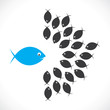 planning concept or discussion between fish