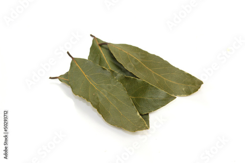 Photo: laurier laurier