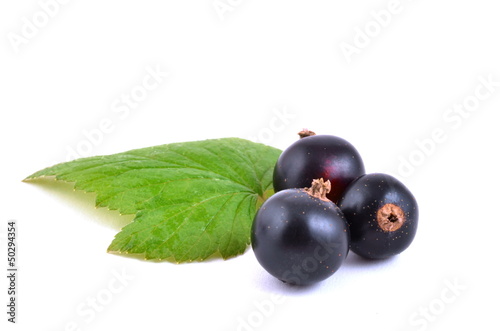 Photo: Black currant Black currant