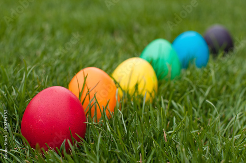 Photo: Egg hunt Egg hunt