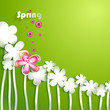 Abstract paper Flowers