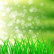 Spring Background