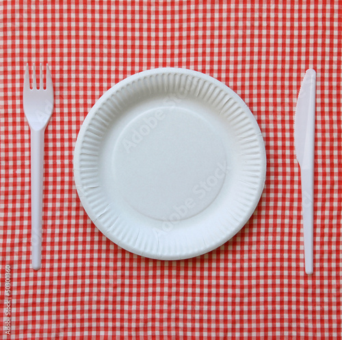 Photo: Disposable paper plate. Disposable paper plate.