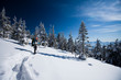 Hiker in winter mountains