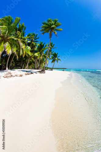 Photo: Beach Beach