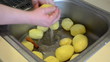 hands wash peeled potatoes under water tap