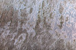Rough wall texture - Grunge cracked and weathered