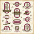 Vintage grapes labels set