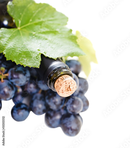 Photo: Bottle of wine on the white background Bottle of wine on the white background