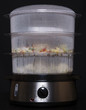 food steamer