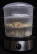 food steamer
