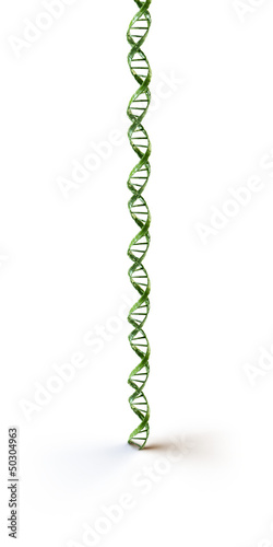 Illustration: green dna spiral isolated in white background green dna spiral isolated in white background
