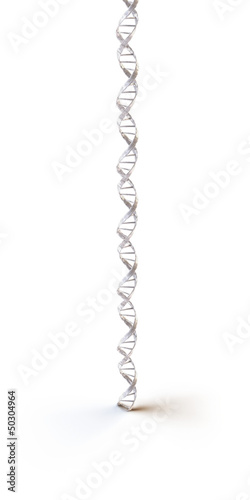 Illustration: white dna spiral isolated in white background white dna spiral isolated in white background