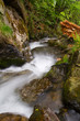 Fluss, Bach