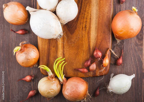 Photo: Different varieties of onions Different varieties of onions
