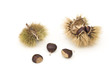 Chestnuts and Husks