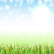 Spring Background