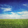 grunge sky and grass