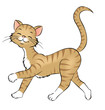 spazierende Katze