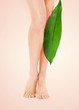 female legs with green leaf