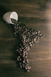 coffee beans are laid out in the form of South America against a