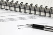 Signing the contract