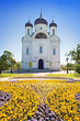 Ekaterina's cathedral. Pushkin. Petersburg. Russia