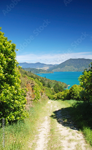 Photo: Trekking in Marlborough Sounds Trekking in Marlborough Sounds