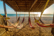Bright Hammocks and Beach