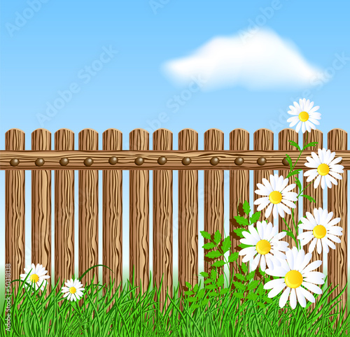 Vector: Wooden fence on green grass with daisy Wooden fence on green grass with daisy