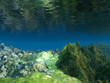 3D Ocean floor