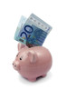pig bank with twenty euros isolated on white background