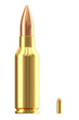 Big and small ammo cartridges on white
