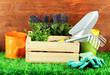 Garden tools on grass in yard