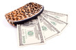 Dollars in the wallet