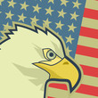 Eagle flag USA