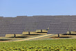Array of photovoltaic panels of a Solar Power Station