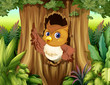 A tree hollow with an owl