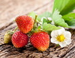 Strawberries with leaves