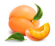 Apricots with leaves
