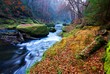 river Kamenice, National park Czech Switzerland