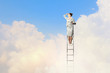 Businesswoman standing on ladder