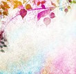 Floral vintage frame with used paper background