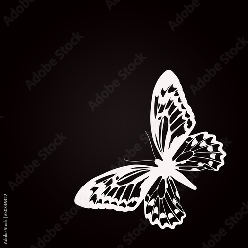 Illustration: Papillon blanc printemps 2 Papillon blanc printemps 2