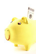 Yellow piggy bank