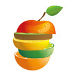 Vector: vector illustration - composing of different fruits vector illustration - composing of different fruits