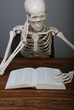 skelett list ein buch