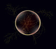 lightning ball on dark background