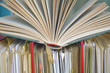opened book and file folders,close up,bureaucracy concept