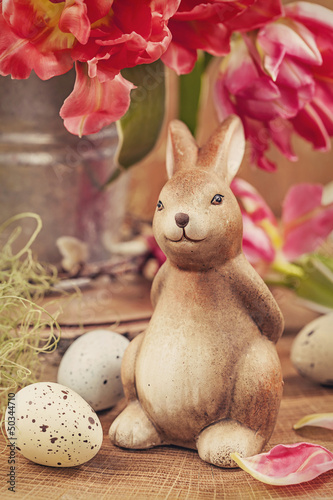 Photo: Tulip flowers and rabbit Tulip flowers and rabbit